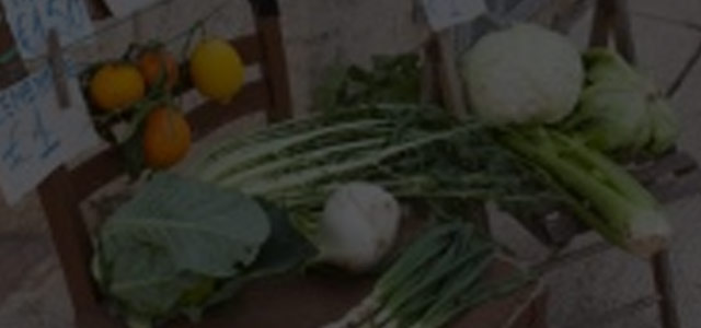 10 Ways to Humanize Your Business by Embracing Local Techniques